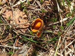 IMG_20250509_102421.jpg