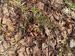 IMG_20250509_123146.jpg