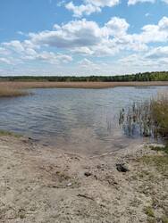 IMG_20250509_134120.jpg