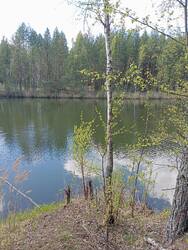 IMG_20250509_154316.jpg