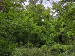 IMG_20250510_104059.jpg
