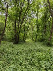 IMG_20250510_104144.jpg
