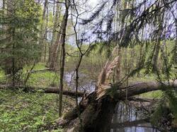 IMG_20250510_104941.jpg