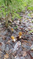 IMG_20250510_105851.jpg