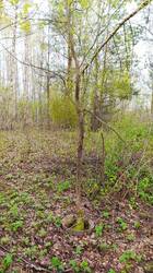 IMG_20250510_112842.jpg