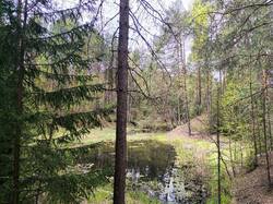 IMG_20250510_113016.jpg