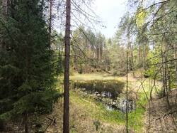 IMG_20250510_113042.jpg