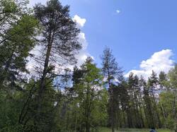 IMG_20250510_134432.jpg