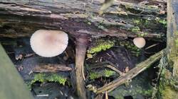 IMG_20250510_152522.jpg