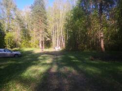 IMG_20250510_172803.jpg