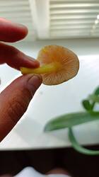 IMG_20250511_144409.jpg