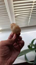 IMG_20250511_144416.jpg
