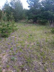 IMG_20250514_104458.jpg