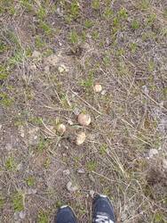 IMG_20250514_104505.jpg