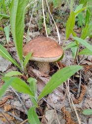IMG_20250514_125512_607.jpg
