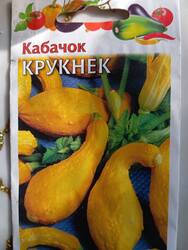 IMG_20250516_073343.jpg