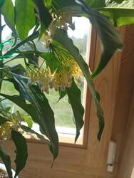 IMG_20250516_102128.jpg