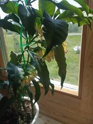 IMG_20250516_102133.jpg