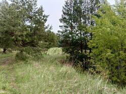 IMG_20250517_080842_544.jpg
