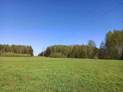 IMG_20250517_152400.jpg
