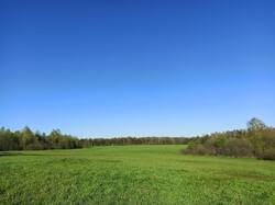 IMG_20250517_170921.jpg