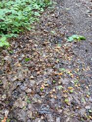 IMG_20250520_121255.jpg