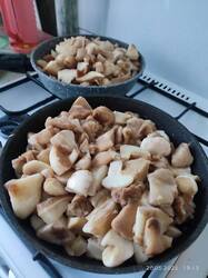 IMG_20250520_191326.jpg