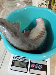 IMG_20250520_201154.jpg