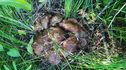 IMG_20250522_164554.jpg