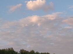 IMG_20250523_200534959.thumb.jpg.e9b74623431ec499bb18472e31b32bb0.jpg
