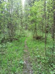 IMG_20250524_035425.jpg