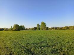 IMG_20250524_045851.jpg