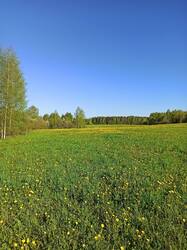 IMG_20250524_062610.jpg