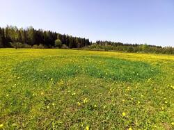 IMG_20250524_113654.jpg