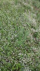 IMG_20250524_162125.jpg