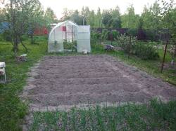 IMG_20250525_202907.jpg