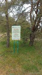 IMG_20250526_145301.jpg