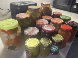 IMG_2280.jpeg