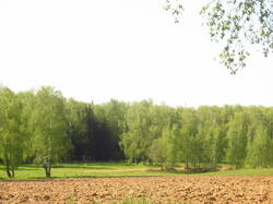 IMG_4181.thumb.JPG.dd759eacd7f1393c670986528bcc6e06.JPG