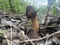IMG_5075.thumb.JPEG.2927bbecdd95b1000f1a2510b2f8232a.JPEG