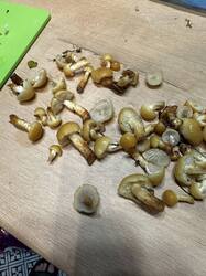 IMG_6078.jpeg