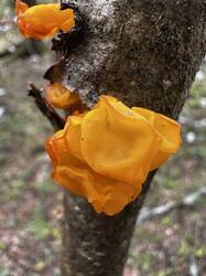 IMG_6165.jpeg