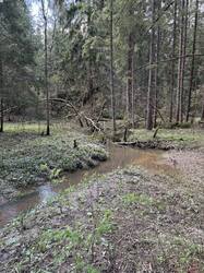 IMG_6348.jpeg