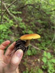 IMG_7065.jpeg