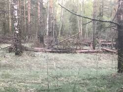 IMG_7860.JPG