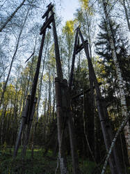 P5032911-ORF_DP.thumb.jpg.a9e07ba58ca957b9c317fa62c8503fb7.jpg