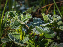 P5032924-ORF_DP.thumb.jpg.43c39610e537bb70e10304a869a0d8df.jpg