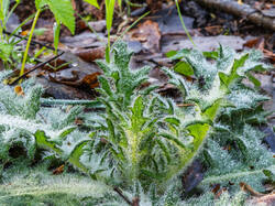 P5032935-ORF_DP.thumb.jpg.8c922cca219fdca5ae7d205d840e5e98.jpg
