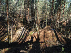 P5032937-ORF_DP.thumb.jpg.83202439f8c16252ad045c5516fdaf82.jpg