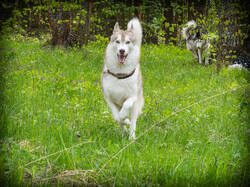 P5100153-ORF_DP.thumb.jpg.fd6ab52517da4e25bcc578727069dc86.jpg